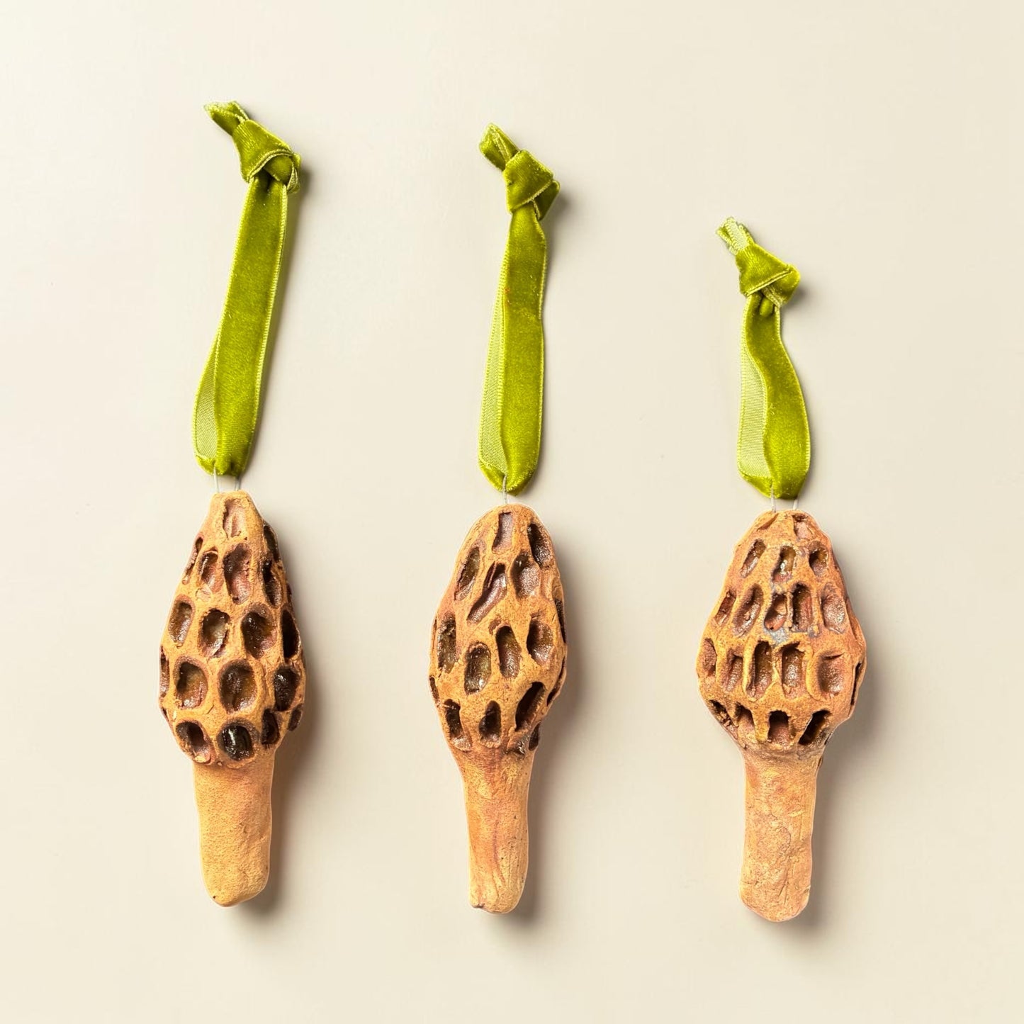 Morel Mushrooms Set of 3