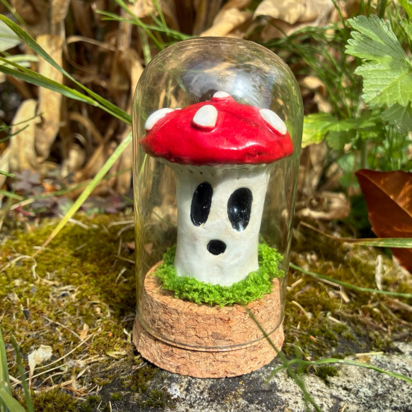 Mushroom Jars