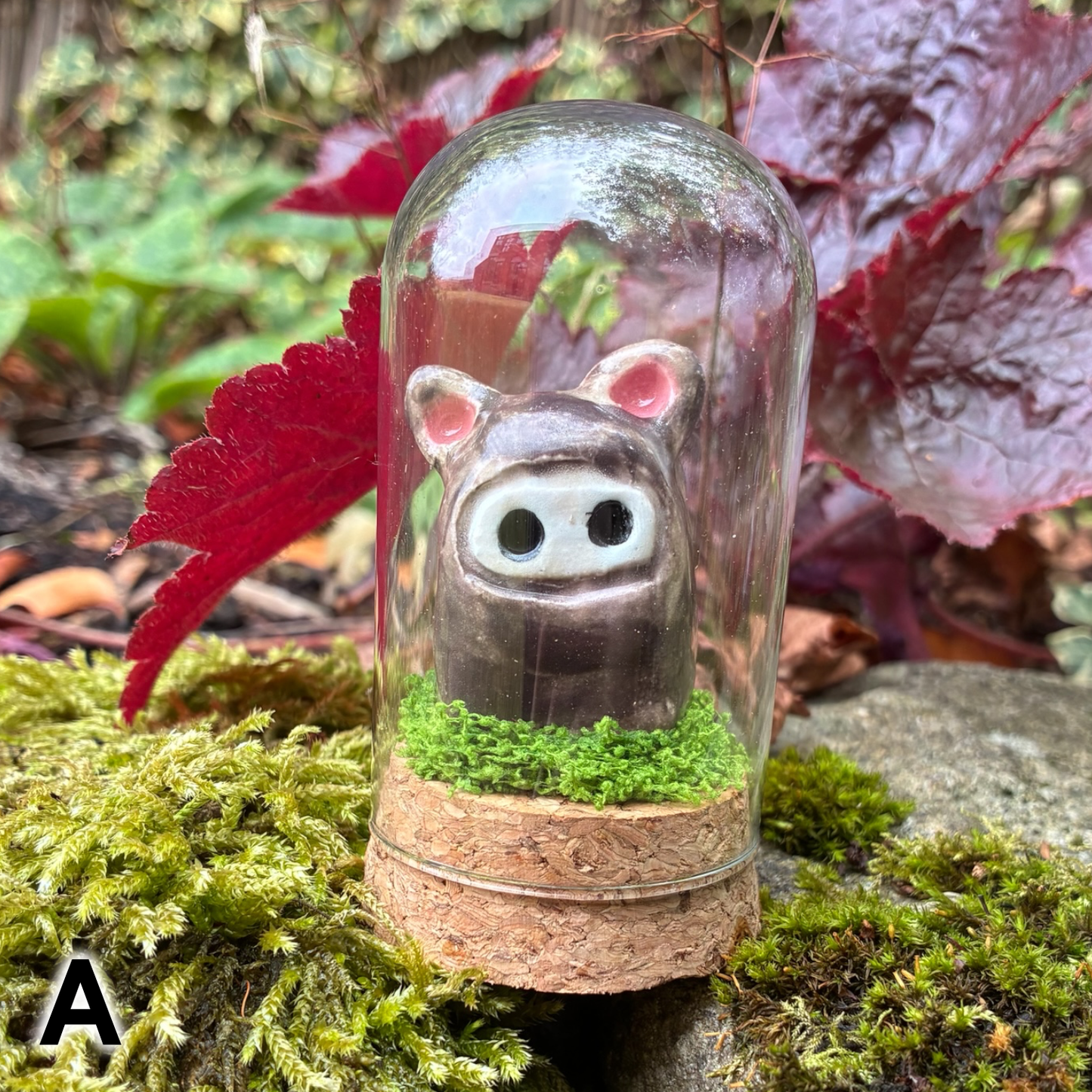 Bear Jars
