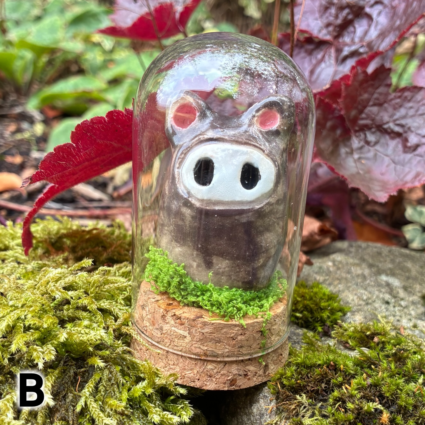 Bear Jars