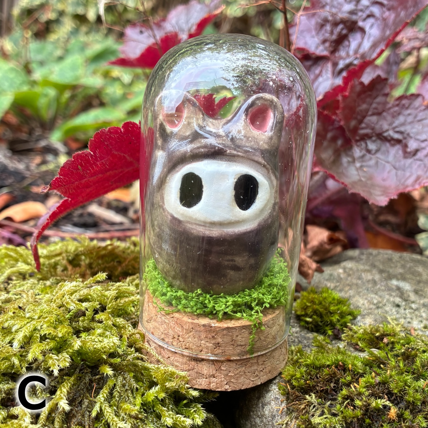 Bear Jars