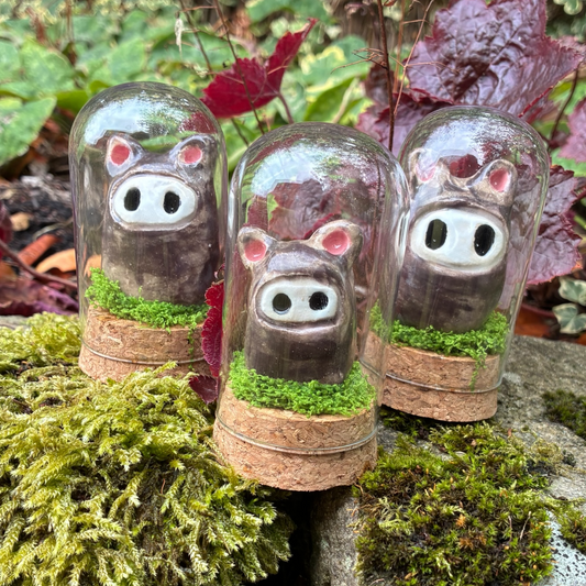 Bear Jars