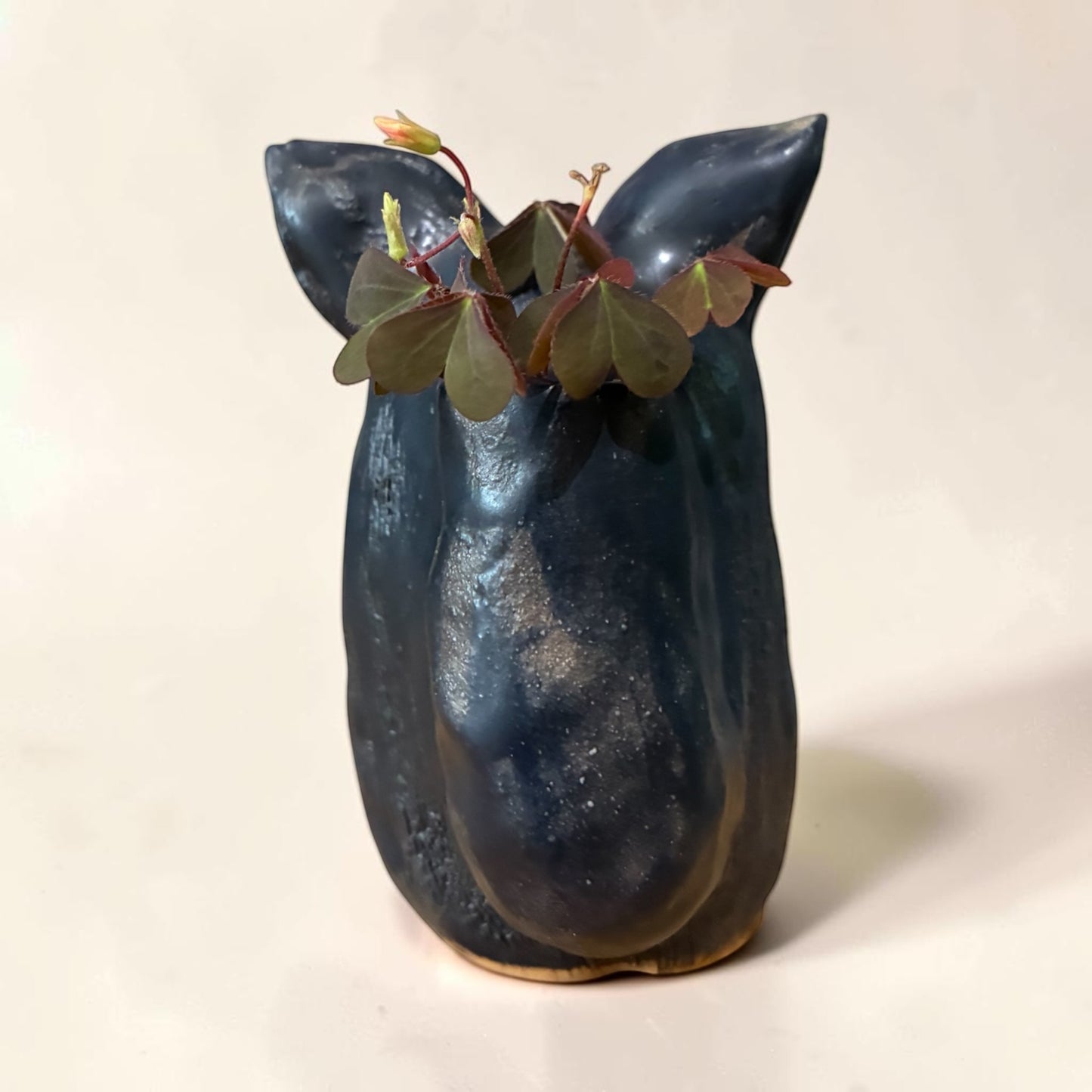 Spirit Cat