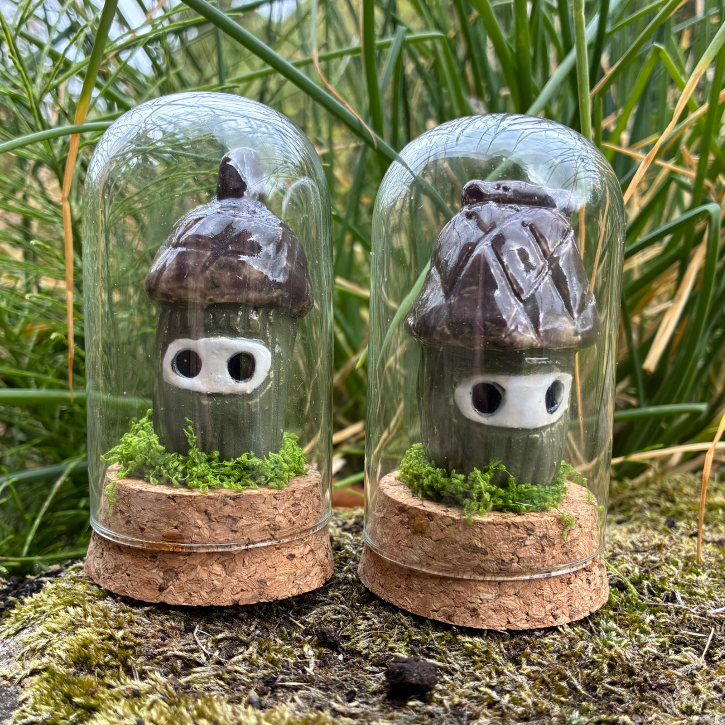 Baby Oak Jars