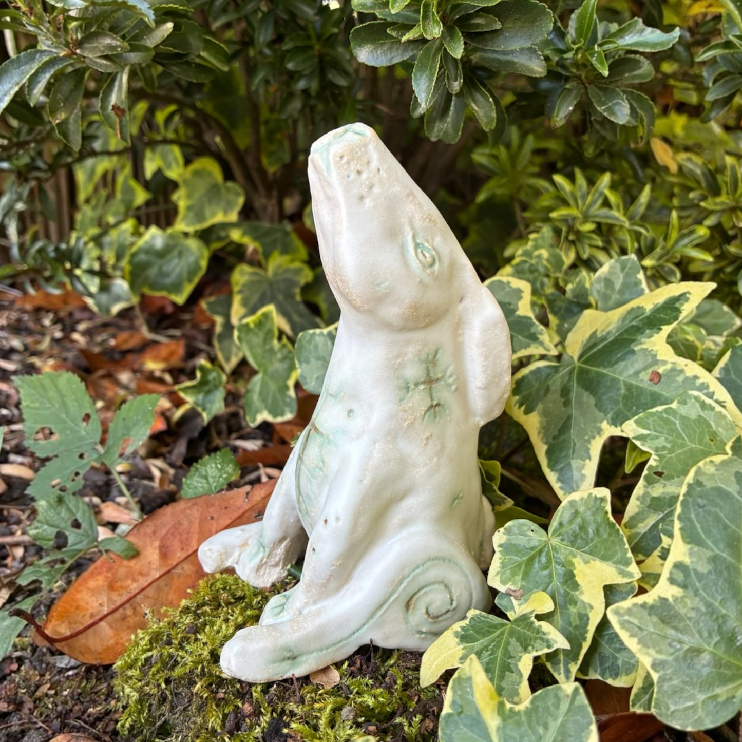 Hare Spirit Animal
