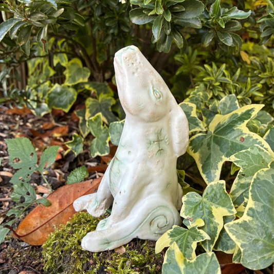 Hare Spirit Animal