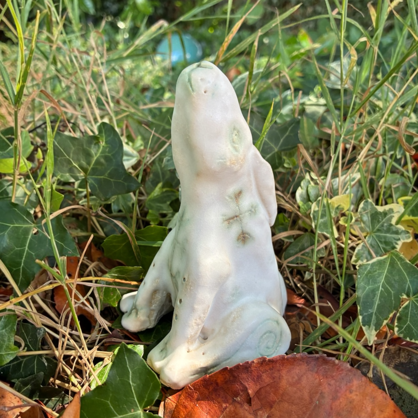 Hare Spirit Animal
