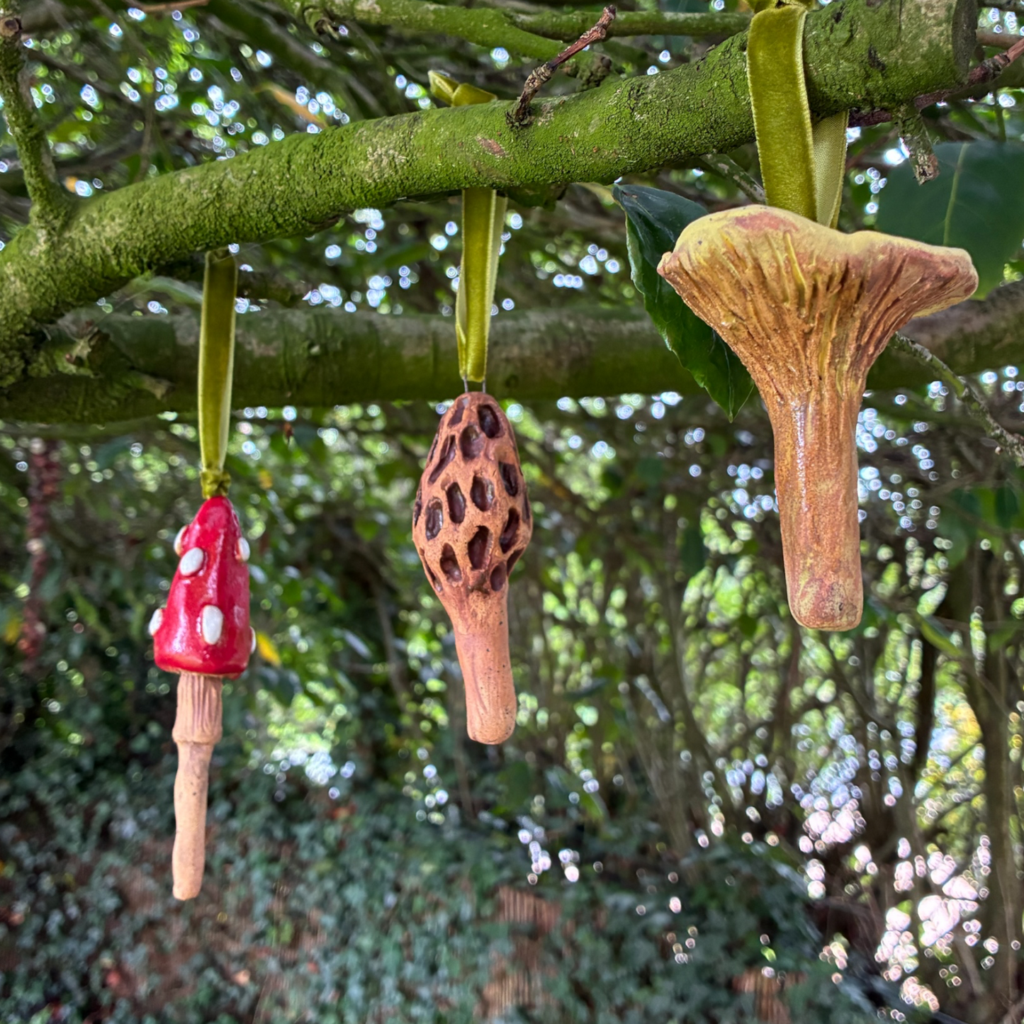 Mixed Mushrooms Set of 3