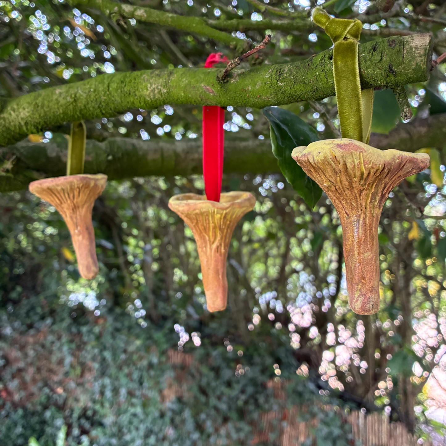 Chanterelle Mushrooms Set of 3