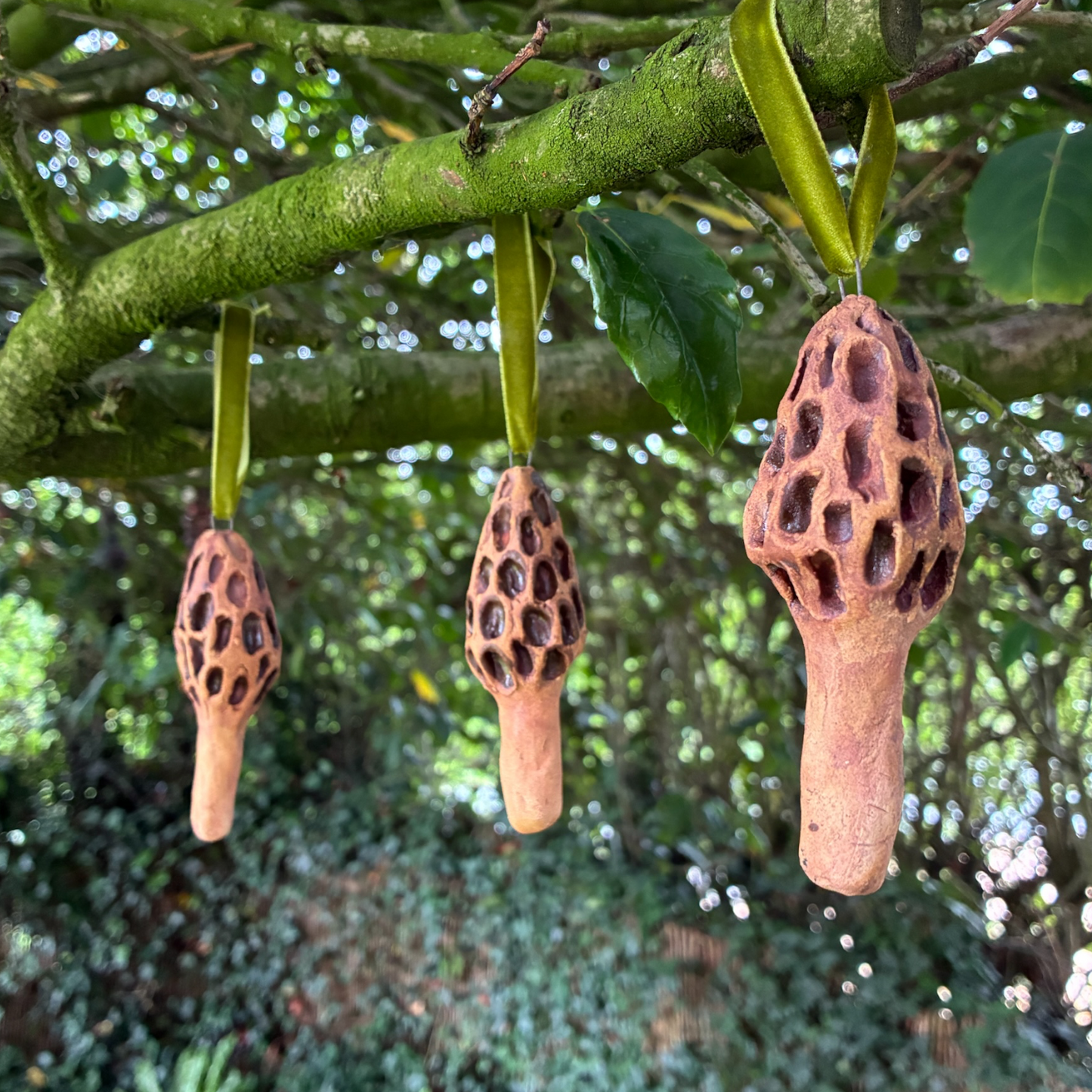 Morel Mushrooms Set of 3