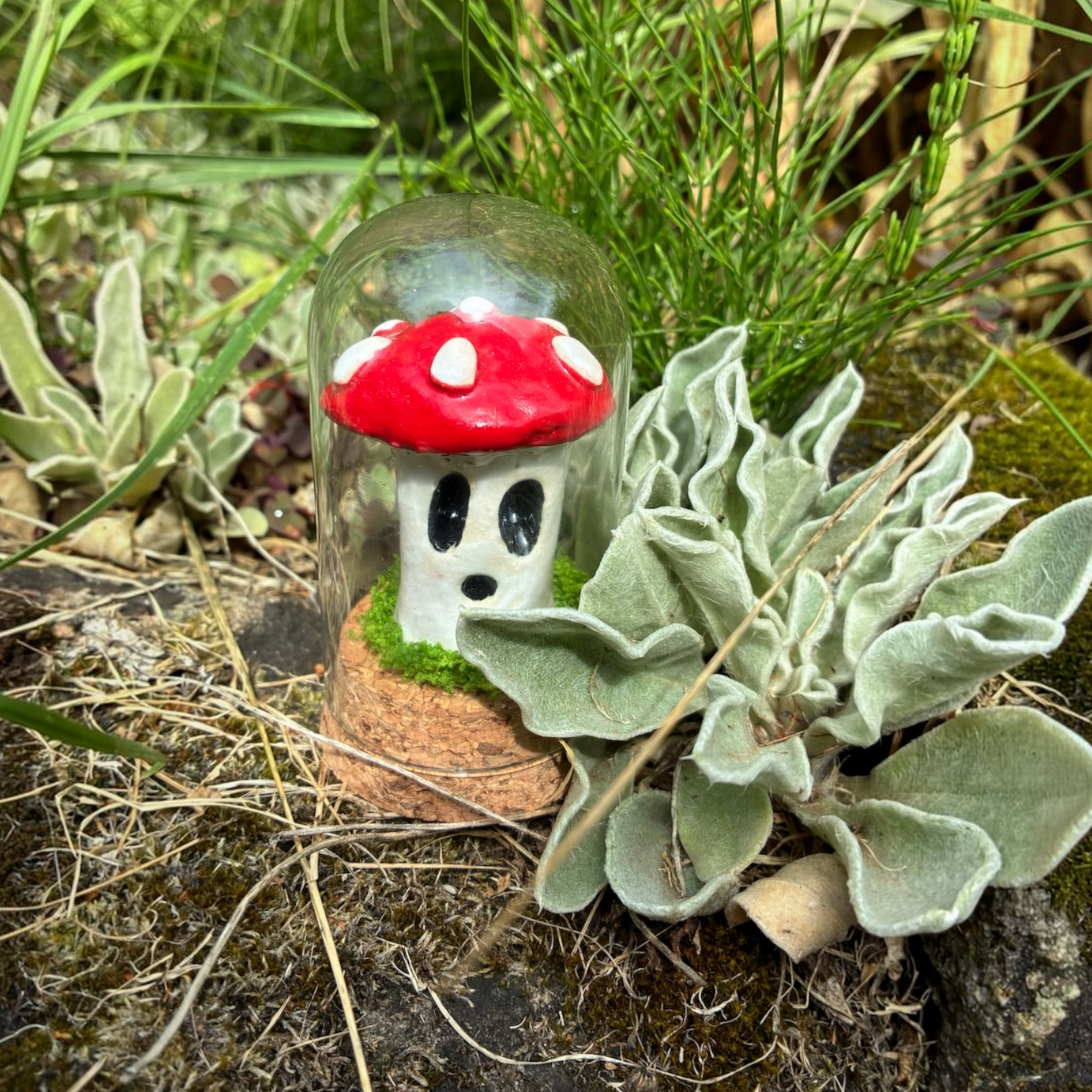 Mushroom Jars